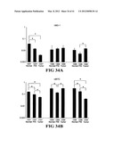 COMPOSITIONS AND METHODS FOR DIAGNOSING, TREATING, AND PREVENTING PROSTATE     CONDITIONS diagram and image