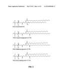 LIPID ENCAPSULATED INTERFERING RNA diagram and image