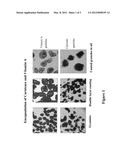 MICROENCAPSULATION OF BIOACTIVE SUBSTANCES AND METHODS OF MAKING THE SAME diagram and image