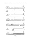 Assay Methods Using Array of Test Zones diagram and image