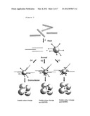 IDENTIFICATION OF NUCLEIC ACID SEQUENCES diagram and image