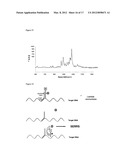 IDENTIFICATION OF NUCLEIC ACID SEQUENCES diagram and image