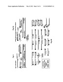 PROBE-ANTIPROBE COMPOSITIONS AND METHODS FOR DNA OR RNA DETECTION diagram and image