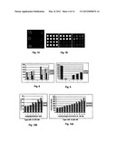 PROBE-ANTIPROBE COMPOSITIONS AND METHODS FOR DNA OR RNA DETECTION diagram and image