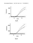 PROBE-ANTIPROBE COMPOSITIONS AND METHODS FOR DNA OR RNA DETECTION diagram and image