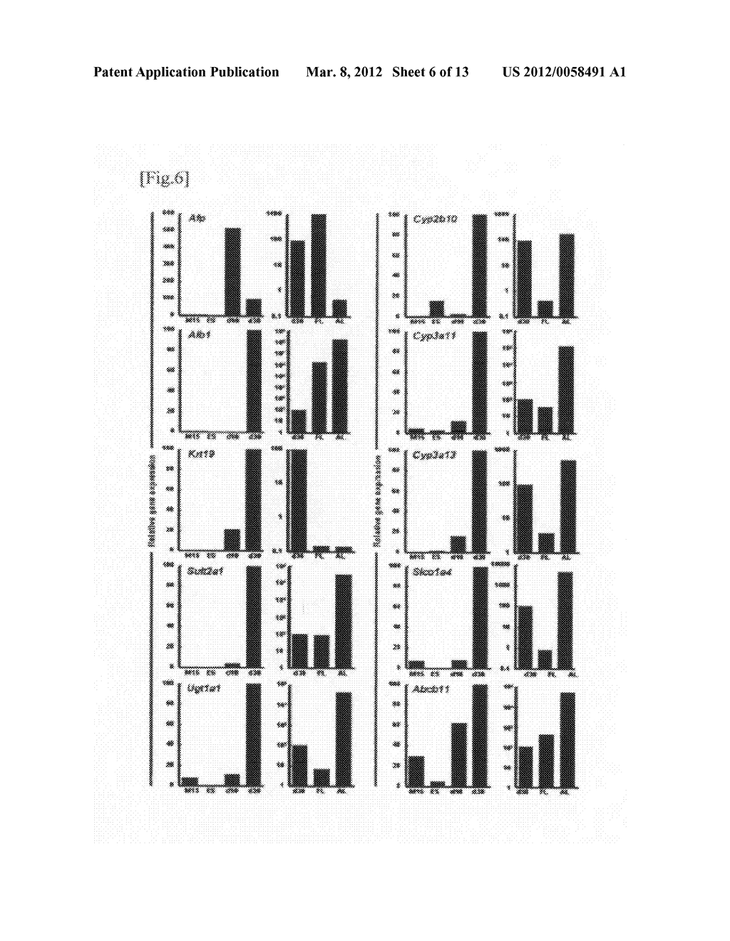 METHOD FOR INDUCTION OF DIFFERENTIATION OF ES CELL - diagram, schematic, and image 07