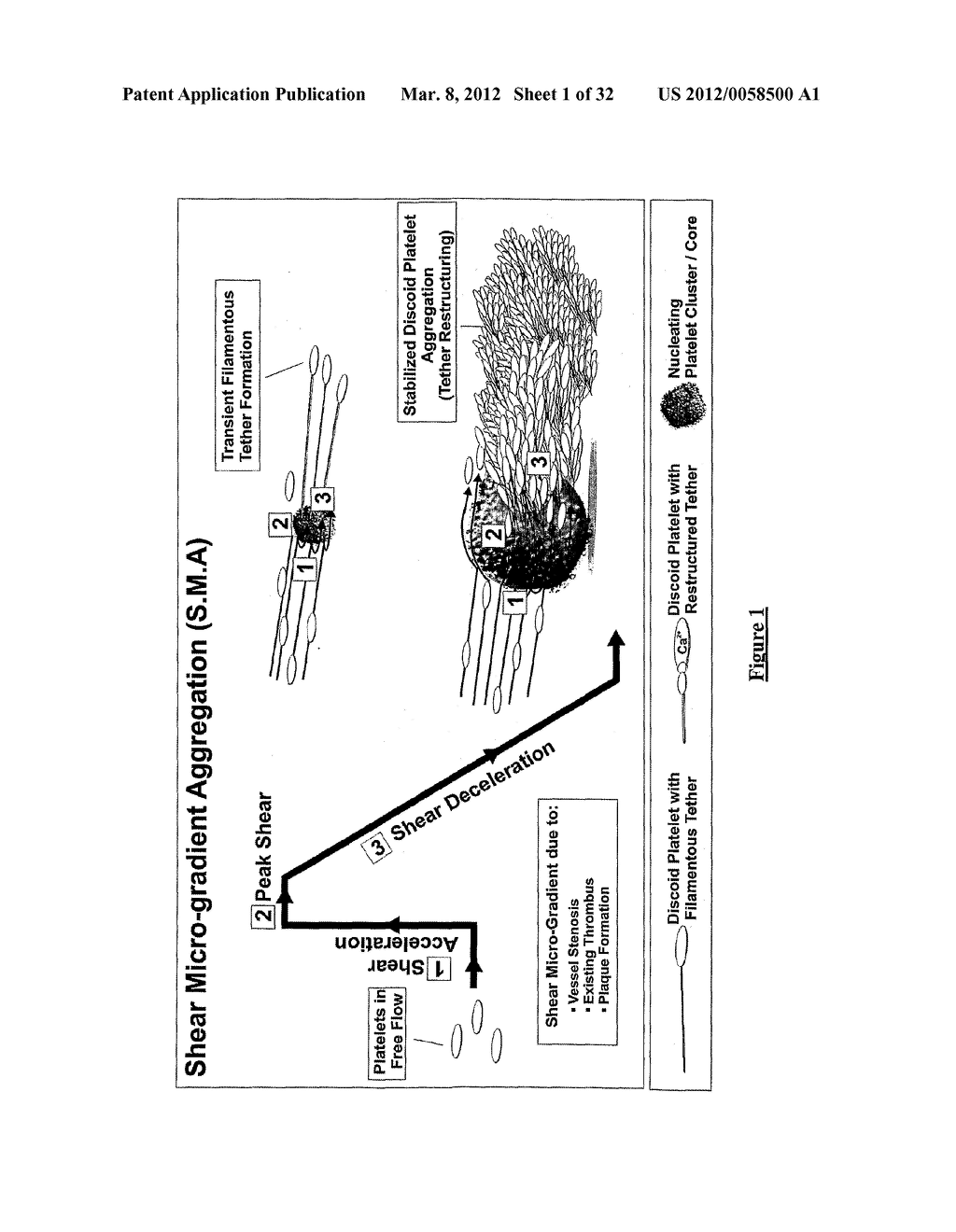 PLATELET AGGREGATION USING A MICROFLUIDICS DEVICE - diagram, schematic, and image 02