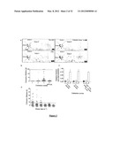 PLATELET AGGREGATION USING A MICROFLUIDICS DEVICE diagram and image