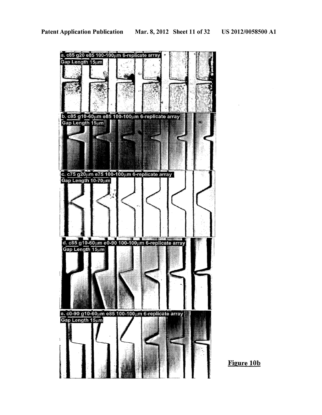 PLATELET AGGREGATION USING A MICROFLUIDICS DEVICE - diagram, schematic, and image 12