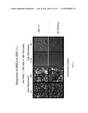 Clonal Derivation and Cell Culture quality Control Screening Methods diagram and image
