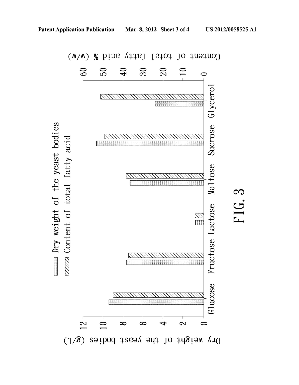 METHOD FOR PRODUCING OIL BY YEAST - diagram, schematic, and image 04