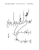 ENGINEERING THE PATHWAY FOR SUCCINATE PRODUCTION diagram and image