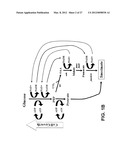 ENGINEERING THE PATHWAY FOR SUCCINATE PRODUCTION diagram and image