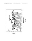 ENGINEERING THE PATHWAY FOR SUCCINATE PRODUCTION diagram and image