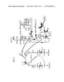 ENGINEERING THE PATHWAY FOR SUCCINATE PRODUCTION diagram and image