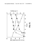 ENGINEERING THE PATHWAY FOR SUCCINATE PRODUCTION diagram and image