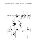 ENGINEERING THE PATHWAY FOR SUCCINATE PRODUCTION diagram and image