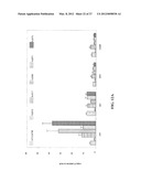 ENGINEERING THE PATHWAY FOR SUCCINATE PRODUCTION diagram and image