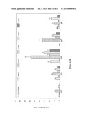 ENGINEERING THE PATHWAY FOR SUCCINATE PRODUCTION diagram and image