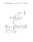 ENGINEERING THE PATHWAY FOR SUCCINATE PRODUCTION diagram and image