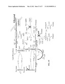 ENGINEERING THE PATHWAY FOR SUCCINATE PRODUCTION diagram and image