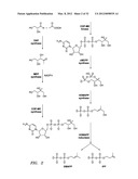 BIOFUEL PRODUCTION IN PROKARYOTES AND EUKARYOTES diagram and image