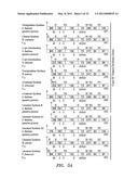 BIOFUEL PRODUCTION IN PROKARYOTES AND EUKARYOTES diagram and image