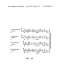 BIOFUEL PRODUCTION IN PROKARYOTES AND EUKARYOTES diagram and image