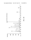 BIOFUEL PRODUCTION IN PROKARYOTES AND EUKARYOTES diagram and image