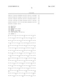 BIOFUEL PRODUCTION IN PROKARYOTES AND EUKARYOTES diagram and image