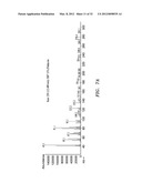 BIOFUEL PRODUCTION IN PROKARYOTES AND EUKARYOTES diagram and image