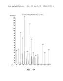 BIOFUEL PRODUCTION IN PROKARYOTES AND EUKARYOTES diagram and image