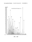 BIOFUEL PRODUCTION IN PROKARYOTES AND EUKARYOTES diagram and image