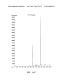 BIOFUEL PRODUCTION IN PROKARYOTES AND EUKARYOTES diagram and image