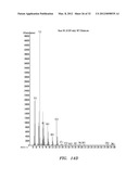 BIOFUEL PRODUCTION IN PROKARYOTES AND EUKARYOTES diagram and image