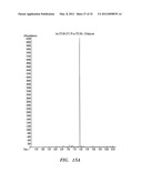 BIOFUEL PRODUCTION IN PROKARYOTES AND EUKARYOTES diagram and image