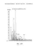 BIOFUEL PRODUCTION IN PROKARYOTES AND EUKARYOTES diagram and image