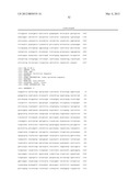 BIOFUEL PRODUCTION IN PROKARYOTES AND EUKARYOTES diagram and image