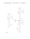 POLYMER MADE OF A PRIMARY AMINE FUNCTIONALIZED POLYMER AND A HEMICELLULOSE diagram and image