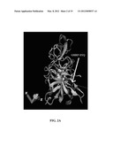 CHIMERIC TRUNCATED AND MUTANT VARIANT OF TISSUE PLASMINOGEN ACTIVATOR     (T-PA) RESISTANT TO PLASMINOGEN ACTIVATOR INHIBITOR-1 diagram and image