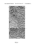 Synthetic Polysaccharide Microcarriers for Culturing Cells diagram and image