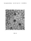 Synthetic Polysaccharide Microcarriers for Culturing Cells diagram and image