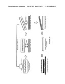 METHOD AND STRUCTURE FOR FABRICATING SOLAR CELLS USING A THICK LAYER     TRANSFER PROCESS diagram and image