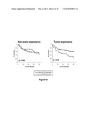 METHOD OF DIAGNOSING POOR SURVIVAL PROGNOSIS COLON CANCER USING miR-203 diagram and image