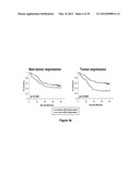 METHOD OF DIAGNOSING POOR SURVIVAL PROGNOSIS COLON CANCER USING miR-203 diagram and image