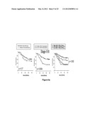 METHOD OF DIAGNOSING POOR SURVIVAL PROGNOSIS COLON CANCER USING miR-203 diagram and image