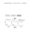 METHOD OF DIAGNOSING POOR SURVIVAL PROGNOSIS COLON CANCER USING miR-203 diagram and image