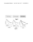 METHOD OF DIAGNOSING POOR SURVIVAL PROGNOSIS COLON CANCER USING miR-203 diagram and image