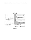 METHOD OF DIAGNOSING POOR SURVIVAL PROGNOSIS COLON CANCER USING miR-203 diagram and image