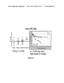 METHOD OF DIAGNOSING POOR SURVIVAL PROGNOSIS COLON CANCER USING miR-203 diagram and image